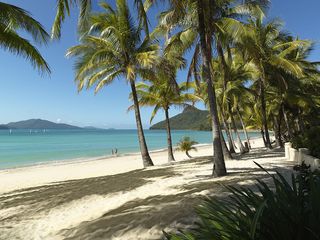 Hamilton Island, QLD